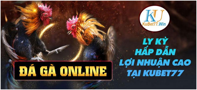 Địa chỉ đá gà Online Kubet uy tín nhất 01