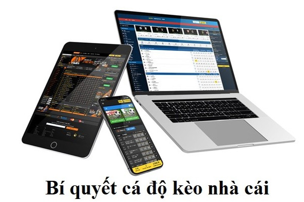 Những bí quyết cá độ kèo nhà cái hữu ích cho người mới 01